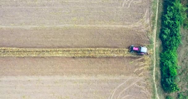 拖拉机在田野里拉着模板犁的空中平移镜头 收获田地后留下的玉米秸秆 — 图库视频影像