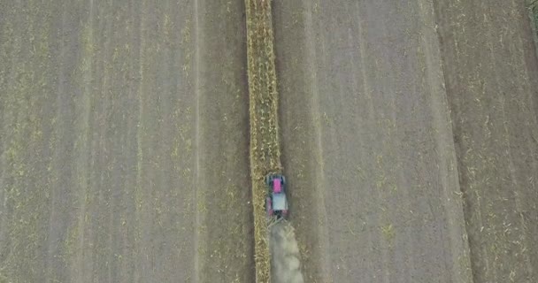 头顶上的无人机射击拖拉机在田野里拉着一个模板犁 收获田地后留下的玉米秸秆 — 图库视频影像