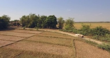 hava uçak atış bir çiftçinin hasat Mısır dolu bir toprak yol üzerinde bir öküz arabası at binme 