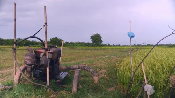 Visão Traseira Sistema Irrigação Caseira Que Fornece Água Campo Arroz — Vídeo de Stock