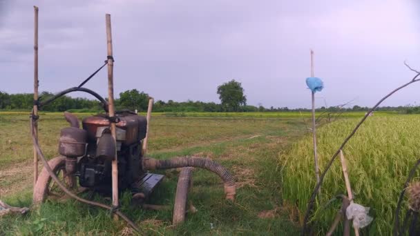 Pemandangan Kembali Sistem Irigasi Buatan Sendiri Yang Menyuplai Air Sawah — Stok Video