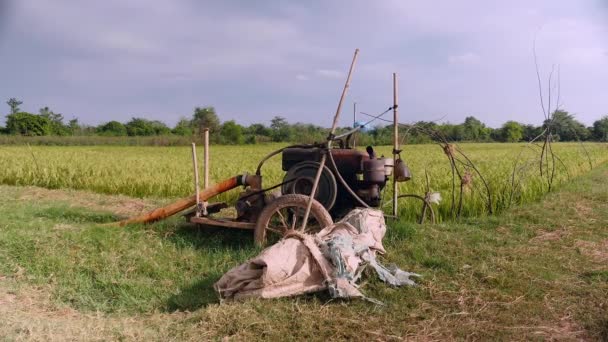 Boční Pohled Domácí Zavlažovací Systém Zásobování Vodou Rýžové Pole Potrubím — Stock video