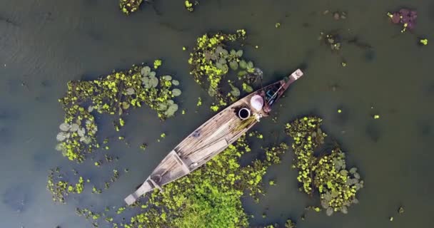 一个女人坐在他的独木舟的船头上 用手网在池塘里抓螃蟹 — 图库视频影像
