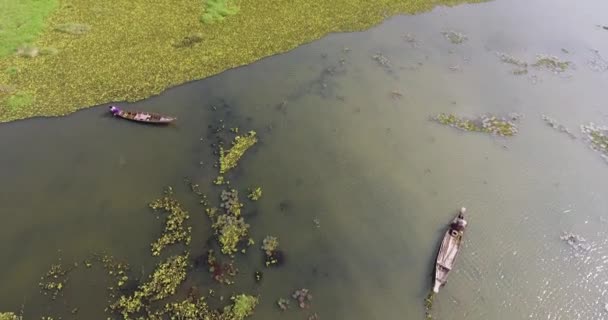 Tembakan Dengung Wanita Duduk Haluan Kano Dugout Mereka Mencari Kepiting — Stok Video