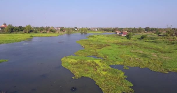 Drohnenschuss Aus Der Luft Lotusfelder Kleinem See Überfliegen Während Menschen — Stockvideo