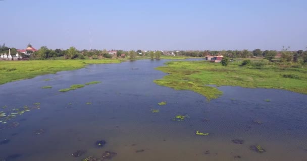 Tiro Drone Aéreo Voar Sobre Campos Lótus Pequeno Lago Enquanto — Vídeo de Stock