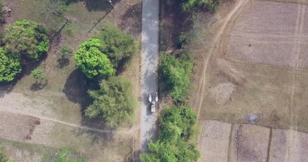 Yük Hava Atış Bir Çiftçinin Hasat Mısır Ile Kırsal Yolu — Stok video