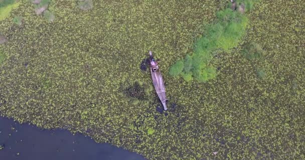 Overhead Drone Tiro Uma Mulher Sentada Arco Sua Canoa Dugout — Vídeo de Stock