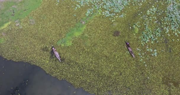 Drone Shot Women Sitting Bow Dugout Canoe Looking Crabs Pond — Videoclip de stoc