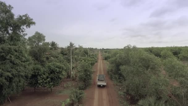 Camion Roulant Sur Chemin Terre Poussiéreux Travers Végétation Tropicale — Video