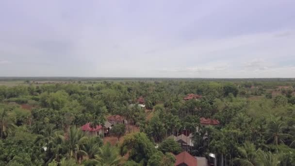 Повітряний Безпілотник Літає Над Маленьким Селом Оточує Пальми Кокосові Дерева — стокове відео