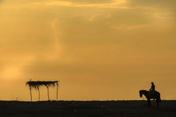 Cavalcare Suo Cavallo Guardando Tramonto Fronte Una Palapa Una Spiaggia — Foto Stock