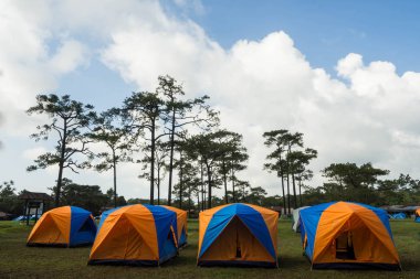 Kamping Turizm ve çadır tepe Phu Kradueng Ulusal Park, Tayland.