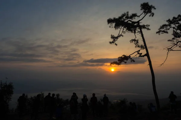 Silhouette Pini Turisti All Alba — Foto Stock