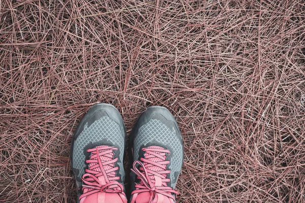 Athletic shoes have pink laces placed on the dry leaves.