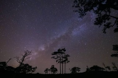 Gece gökyüzünde yıldızlı bir Samanyolu var..