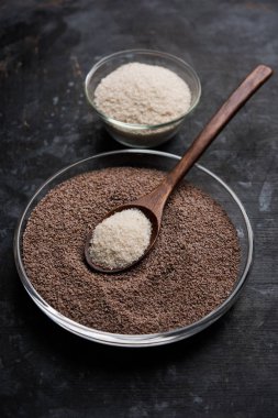 Psyllium kabuğu veya dar ovata, tohumlardan elde edilen lif olan isabgol esas olarak Hindistan'da bulundu. Bir kapta moody arka plan üzerinde servis. seçici odak