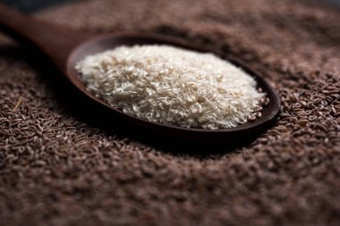 Psyllium kabuğu veya dar ovata, tohumlardan elde edilen lif olan isabgol esas olarak Hindistan'da bulundu. Bir kapta moody arka plan üzerinde servis. seçici odak