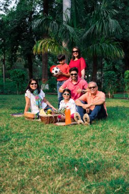 Hint ailesi pikniğin tadını çıkarıyor. Çimlerin üzerinde oturan Asyalı bir ailenin çok nesli ya da meyve sepeti, hasırı ve içeceklerle parktaki yeşil çimenler. seçici odak