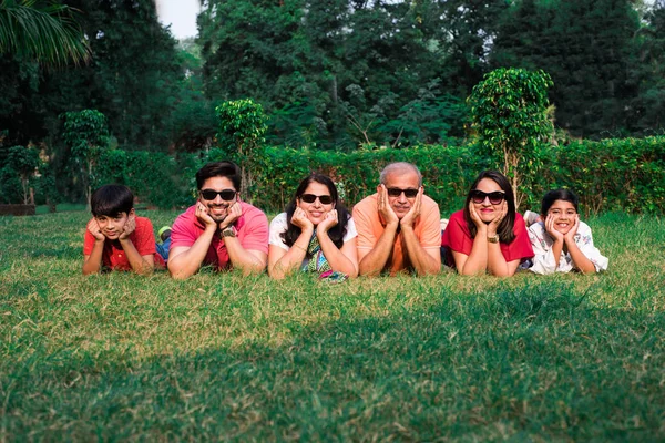 美丽的印度多代六代同堂家庭 手牵着下巴躺在绿草上 看着相机 面带微笑 — 图库照片