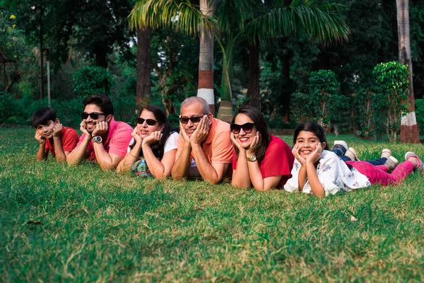 美丽的印度多代六代同堂家庭 手牵着下巴躺在绿草上 看着相机 面带微笑 — 图库照片