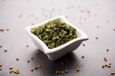 Kasuri Methi / Kasoori Methi veya Trigonella Foenum Graecum olarak da bilinen kurutulmuş çemen yaprağı.