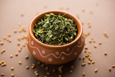 Kasuri Methi / Kasoori Methi veya Trigonella Foenum Graecum olarak da bilinen kurutulmuş çemen yaprağı.