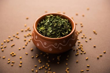 Kasuri Methi / Kasoori Methi veya Trigonella Foenum Graecum olarak da bilinen kurutulmuş çemen yaprağı.