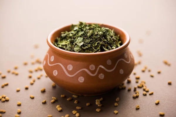 Kasuri Methi Kasoori Methi Trigonella Foenum Graecum 알려진 Fenugreek — 스톡 사진