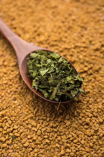 Kasuri Methi Kasoori Methi Сушеные Листья Пажитника Известные Trigonella Foenum — стоковое фото