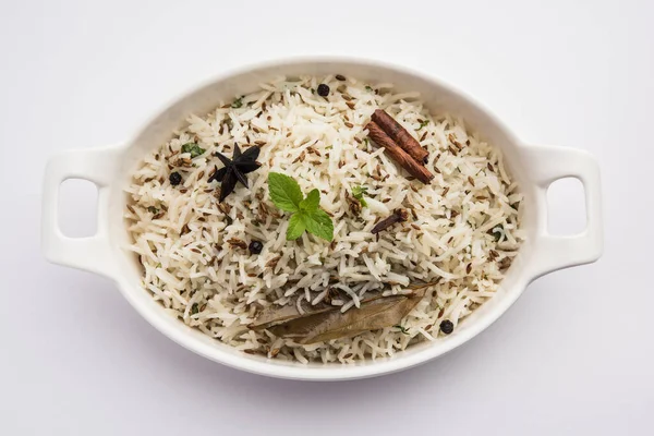 卡宁米 Cumin Rice 或杰拉米 Jeera Rice 是印度最受欢迎的主食之一 使用的是具有基本调味品的巴萨蒂米 — 图库照片