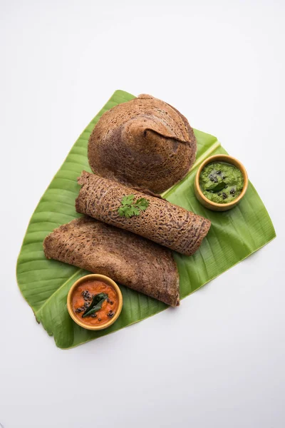 Finger Millet or Ragi Dosa is a healthy Indian breakfast served with chutney, in roll, flat or cone shape