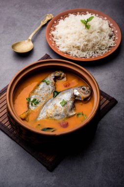 Baharatlı Balık Curry - kerala, konkan, bengal, goa tarzı kırmızı ve kahverengi, pirinç ile servis edilir.