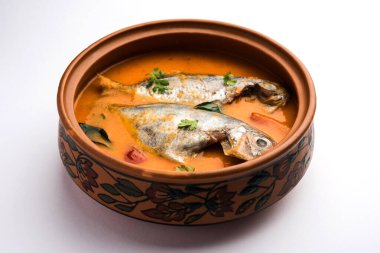 Baharatlı Balık Curry - kerala, konkan, bengal, goa tarzı kırmızı ve kahverengi, pirinç ile servis edilir.