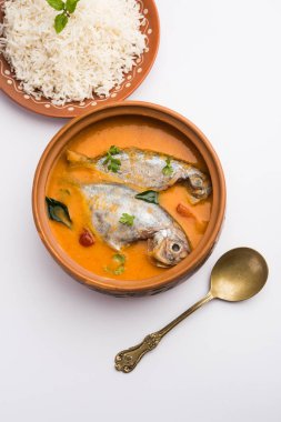 Baharatlı Balık Curry - kerala, konkan, bengal, goa tarzı kırmızı ve kahverengi, pirinç ile servis edilir.