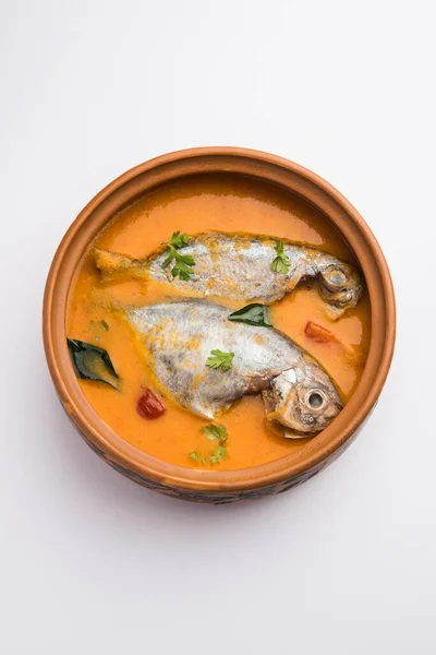 Spicy Fish Curry Kerala Konkan Bengal Goa Style Red Brown — Stock Photo, Image