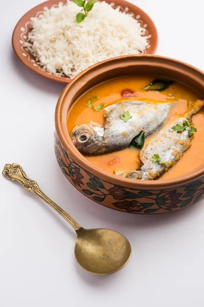 Würziges Fisch Curry Kerala Konkan Bengal Goa Stil Roter Und — Stockfoto