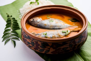 Baharatlı Balık Curry - kerala, konkan, bengal, goa tarzı kırmızı ve kahverengi, pirinç ile servis edilir.