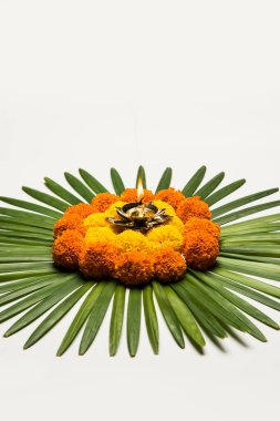 Diwali için Rangoli Çiçeği ya da Pongal Festivali Marigold ya da Zendu çiçekleri ve gül yaprakları ile karamsar ya da beyaz arka plan üzerinde yapılan seçici odaklanma