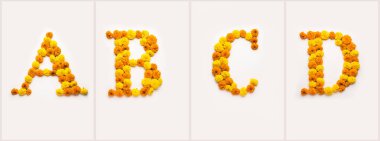 İngilizce numara, basamak veya alfabetik kadife çiçeği veya zendu ile yapılır