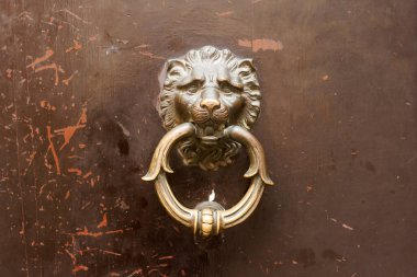 ring vurma ile vintage aslan baş altın topuz