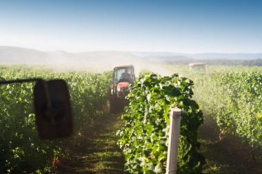 bağda çalışan kırmızı traktörler