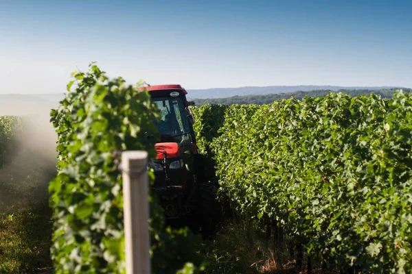 red tractor working in the vineyard