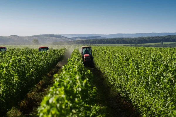 bağda çalışan kırmızı traktörler