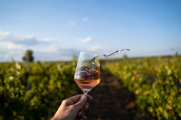 hand holding a glass of rose wine in front of vineyard