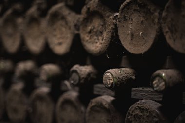 Eski şarap şişelerinin yakın plan görüntüsü yumuşak siyah küf ve şarap mahzeninde örümcek ağıyla kaplı antik koleksiyon