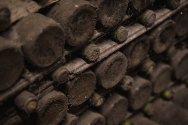 Eski şarap şişelerinin yakın plan görüntüsü yumuşak siyah küf ve şarap mahzeninde örümcek ağıyla kaplı antik koleksiyon