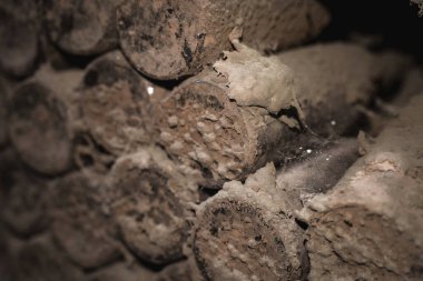 Eski şarap şişelerinin yakın plan görüntüsü yumuşak siyah küf ve şarap mahzeninde örümcek ağıyla kaplı antik koleksiyon