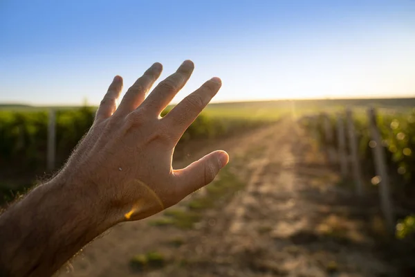 Ponto Vista Perspectiva Homem Caucasiano Segurando Uma Mão Contra Sol — Fotografia de Stock