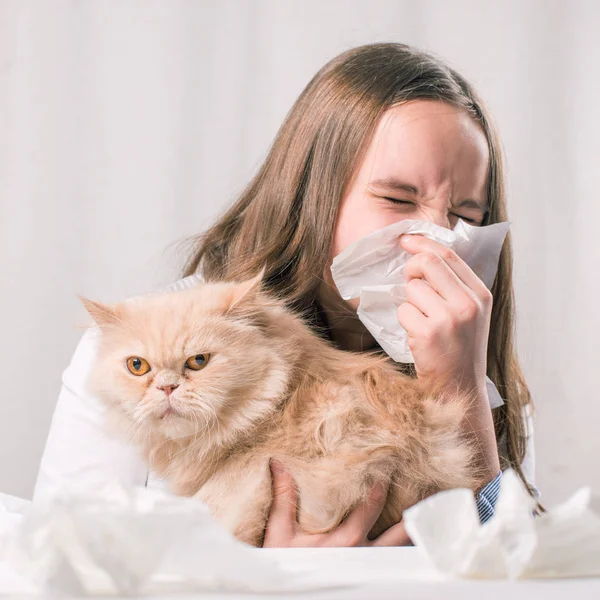Adolescente Menina Soprando Nariz Lenço Segurando Gato Conceito Ataque Sintomas Imagens Royalty-Free